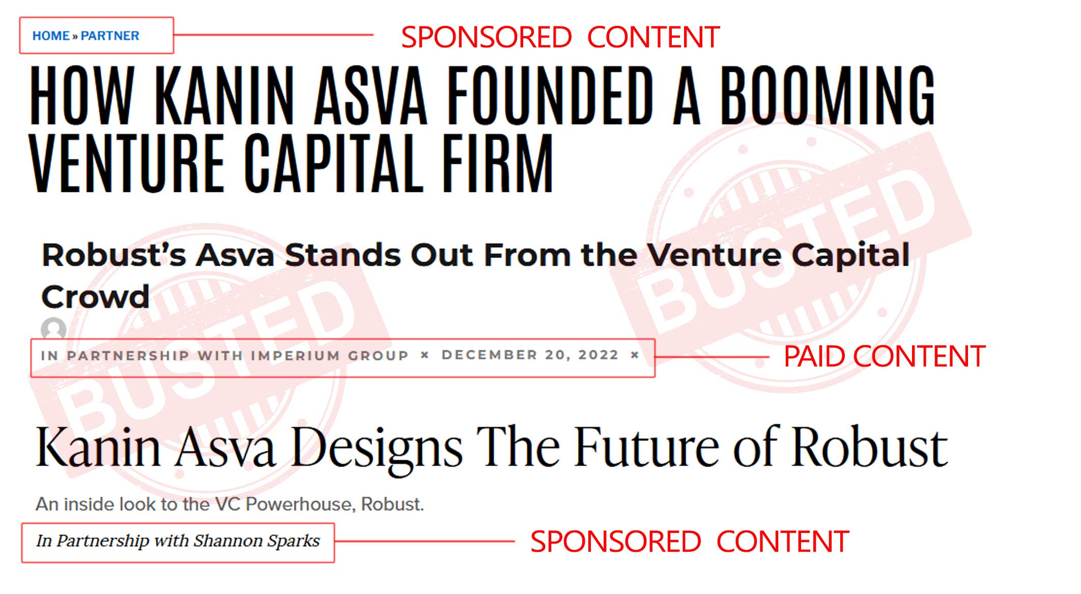 Kanin-Asva-Founder-of-Robust